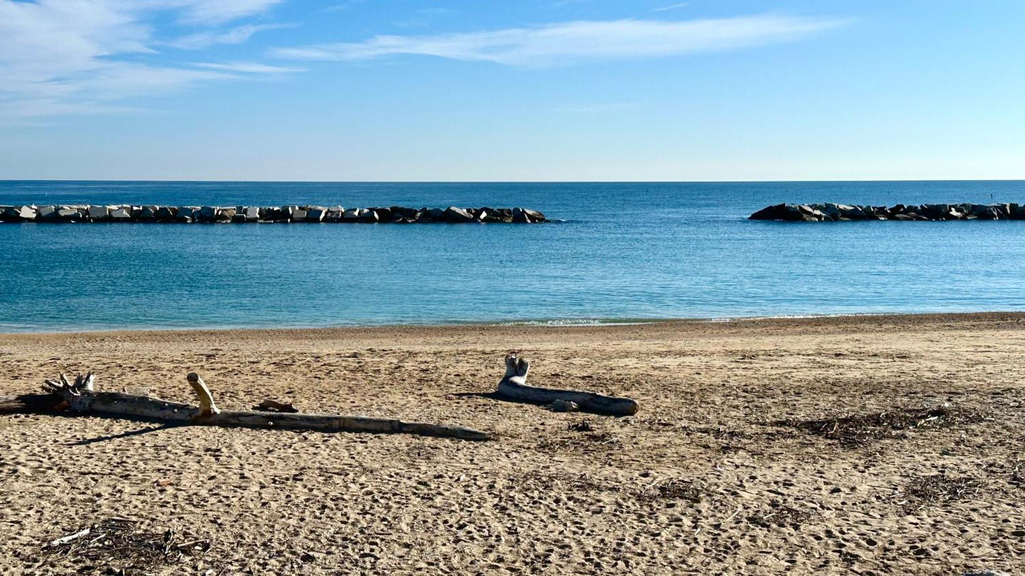 P020 - Porto Recanati, Nuovo Trilocale Con Giardino 외부 사진